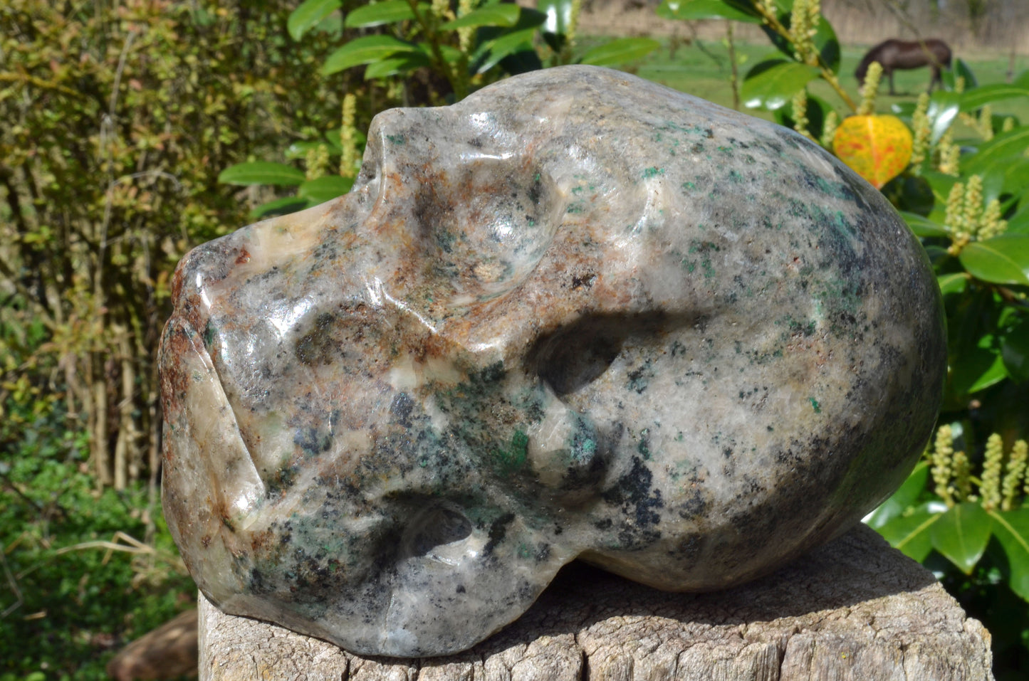 Large Fluorite in Barite and Pyrite, Toothless Skull