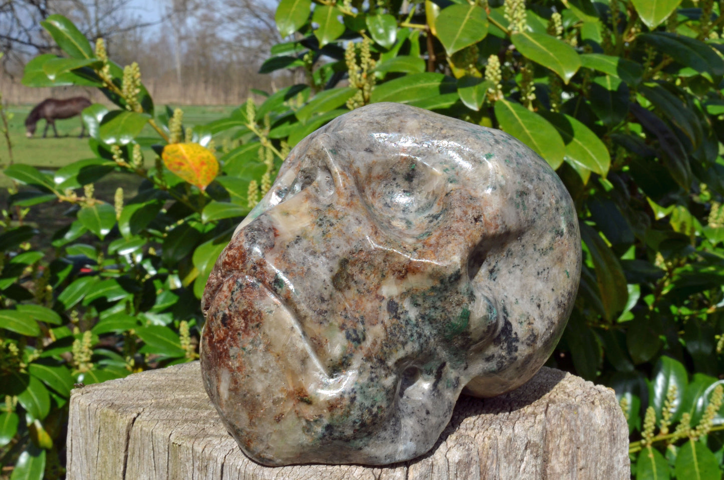 Large Fluorite in Barite and Pyrite, Toothless Skull