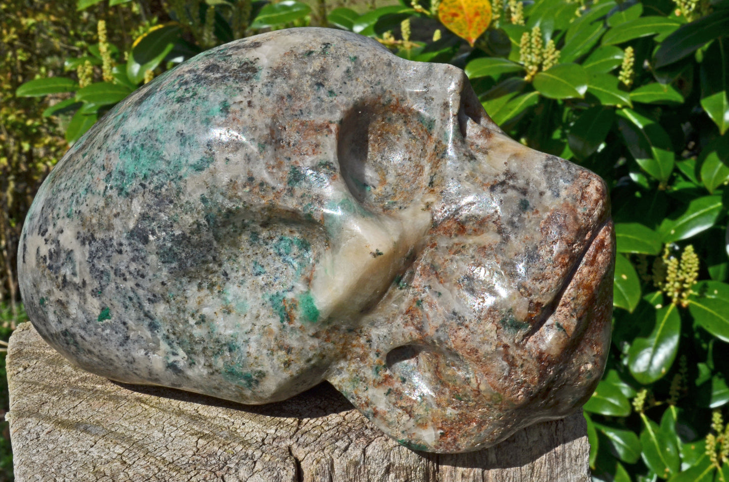 Large Fluorite in Barite and Pyrite, Toothless Skull