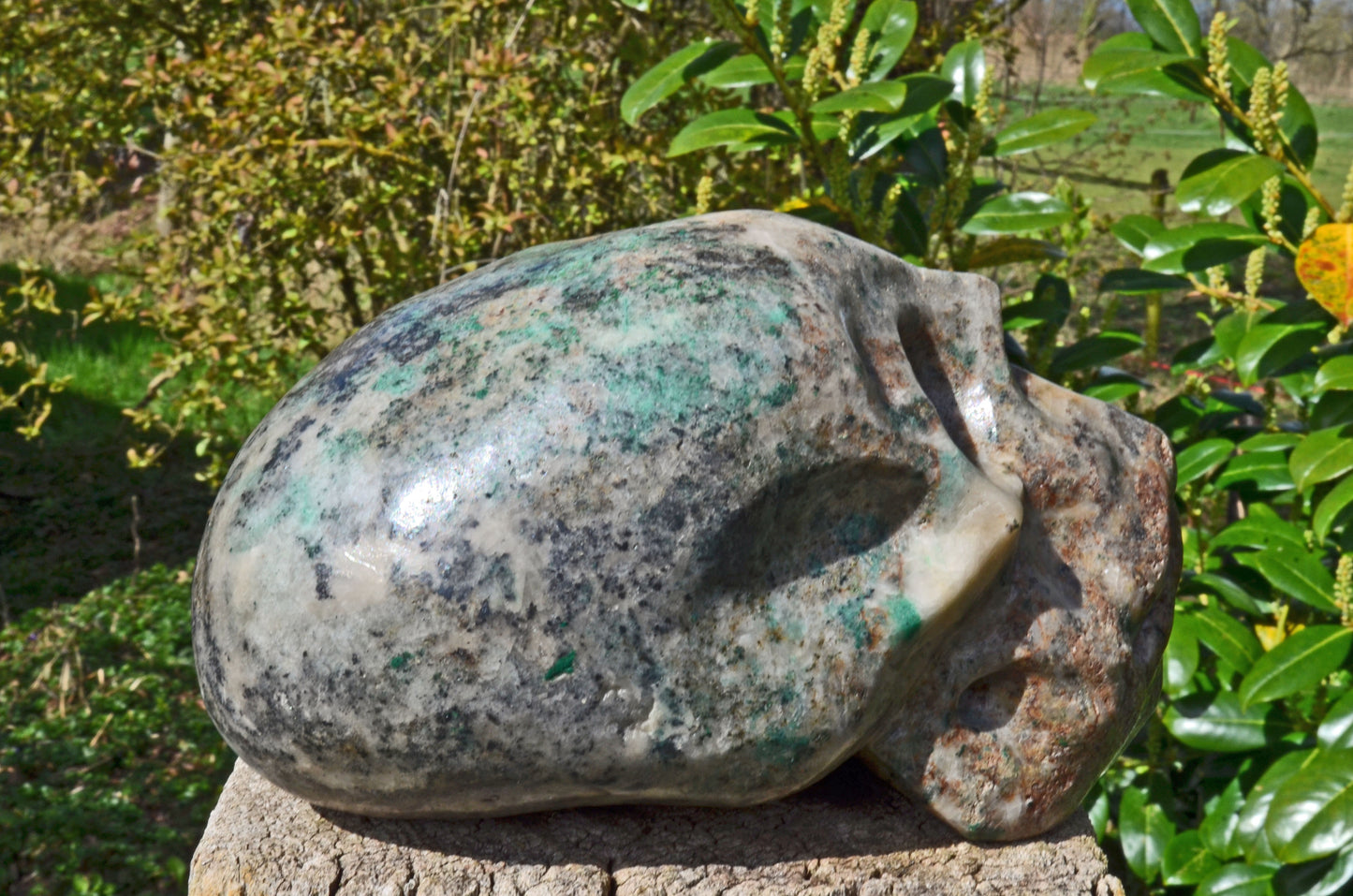 Large Fluorite in Barite and Pyrite, Toothless Skull