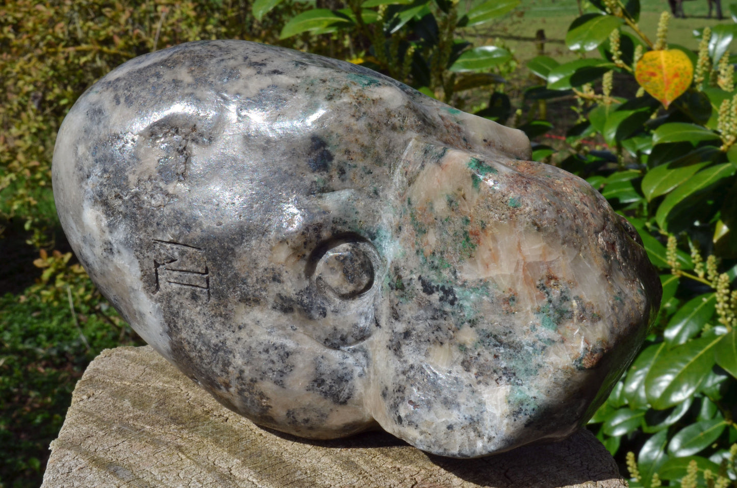 Large Fluorite in Barite and Pyrite, Toothless Skull