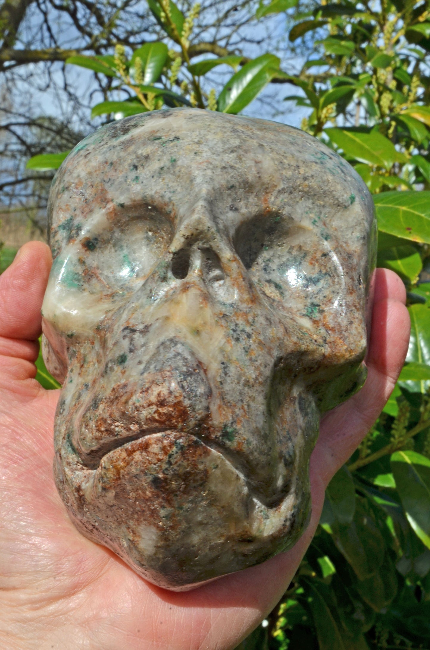 Large Fluorite in Barite and Pyrite, Toothless Skull