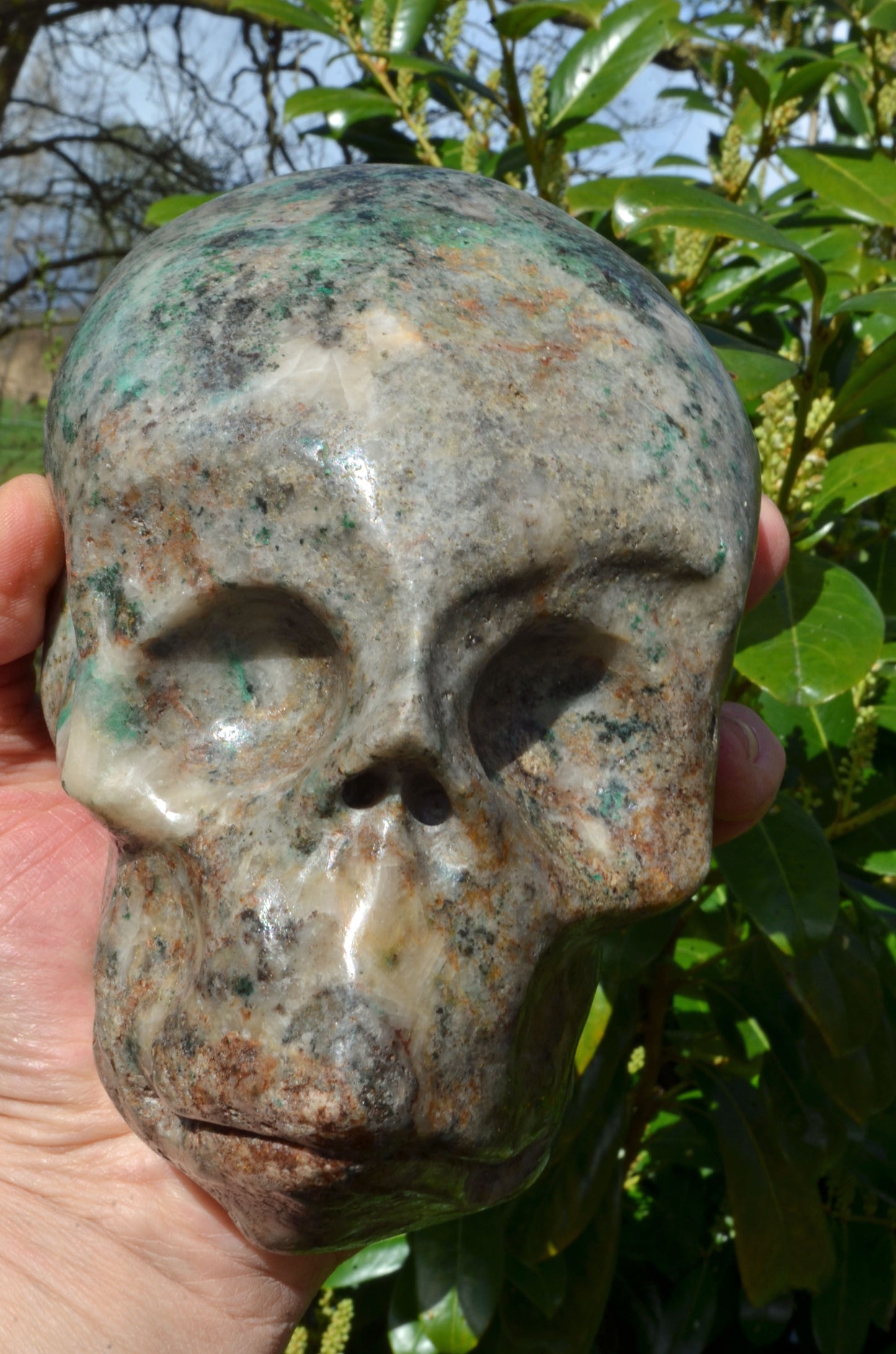 Large Fluorite in Barite and Pyrite, Toothless Skull