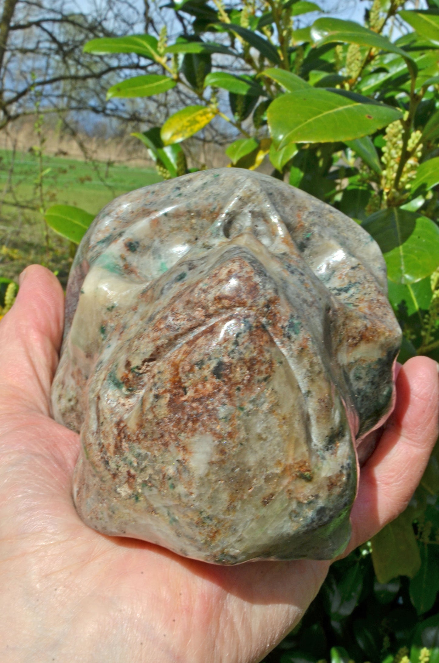 Large Fluorite in Barite and Pyrite, Toothless Skull