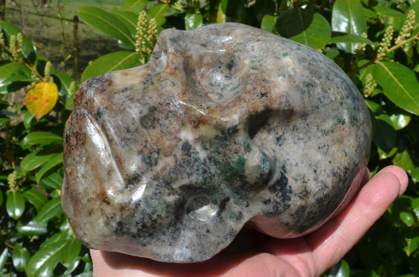 Large Fluorite in Barite and Pyrite, Toothless Skull