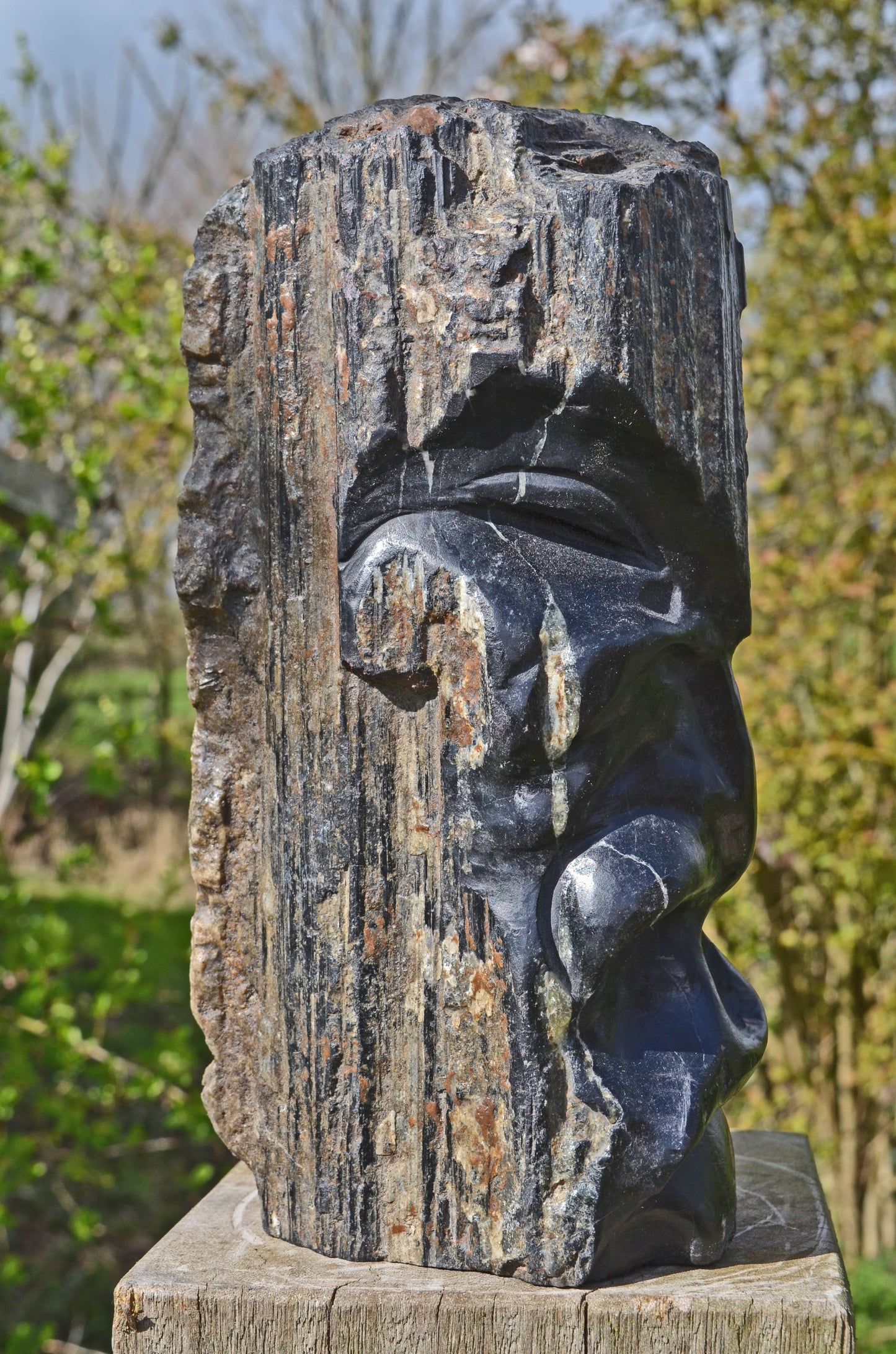 Large Black Tourmaline Tribal Statue.