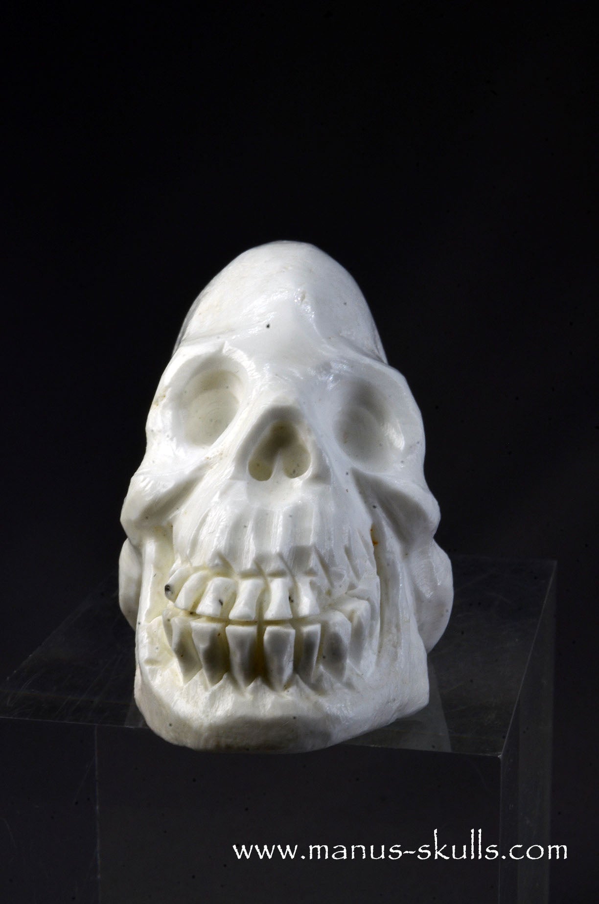 Polish Magnesite Skull