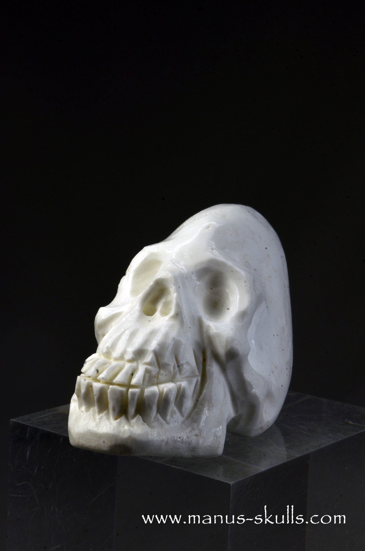 Polish Magnesite Skull