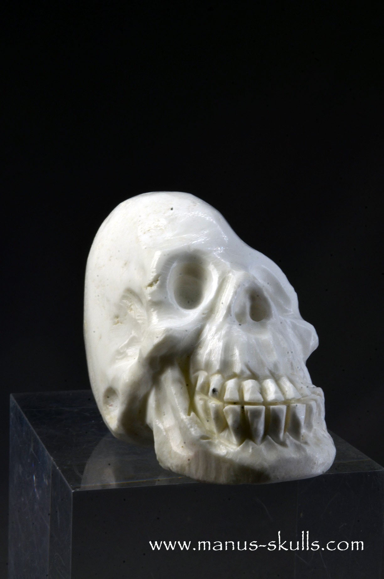 Polish Magnesite Skull