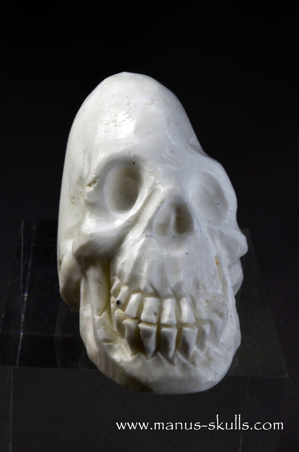 Polish Magnesite Skull