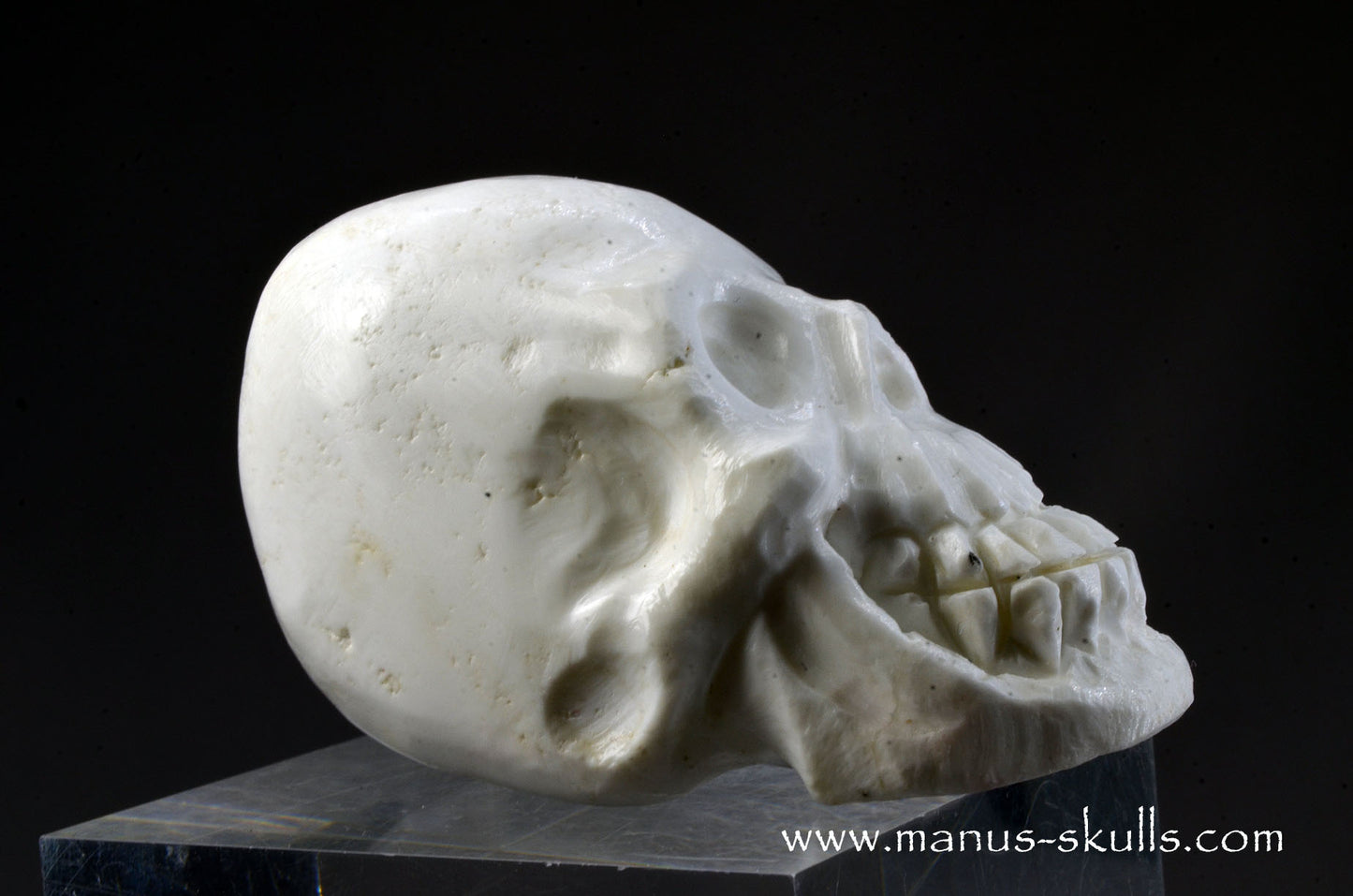 Polish Magnesite Skull