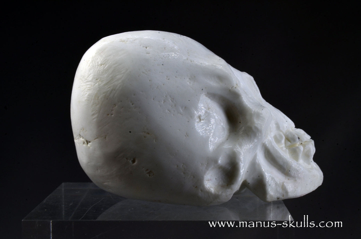 Polish Magnesite Skull