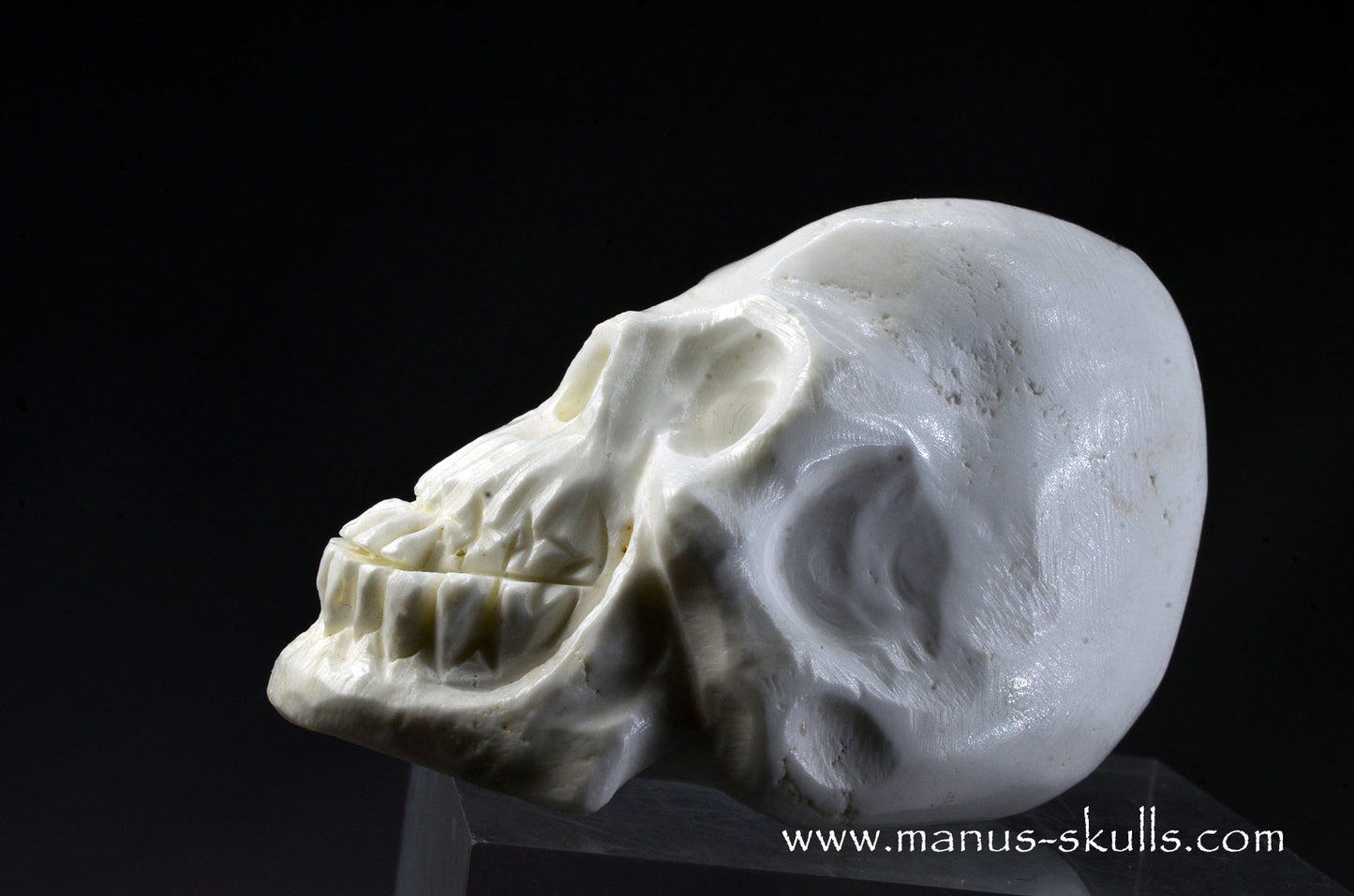 Polish Magnesite Skull