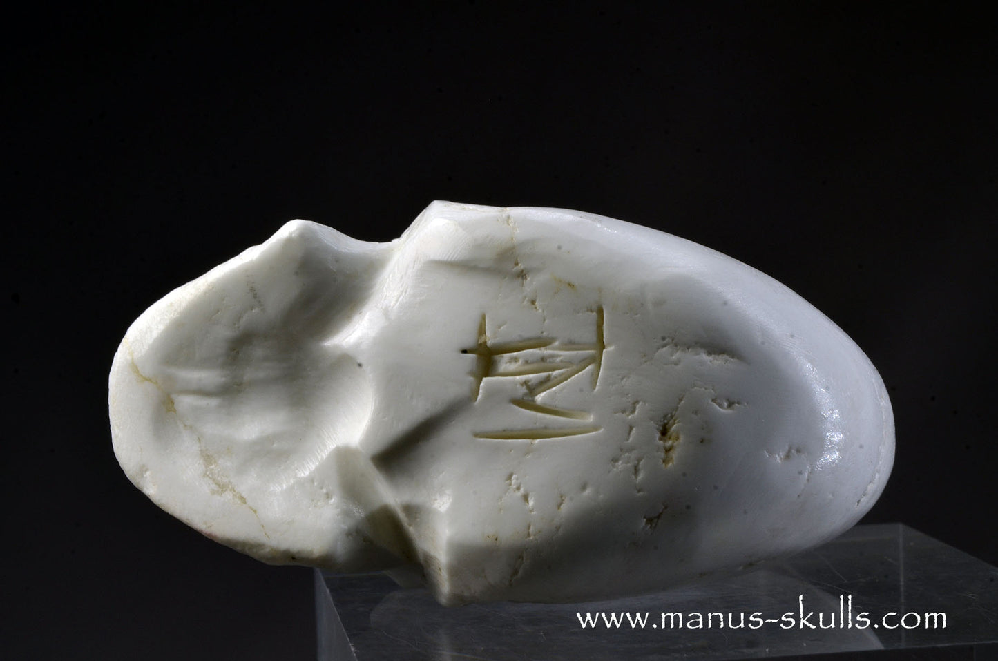 Polish Magnesite Skull