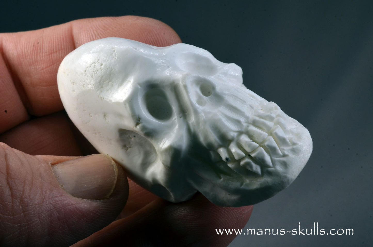 Polish Magnesite Skull