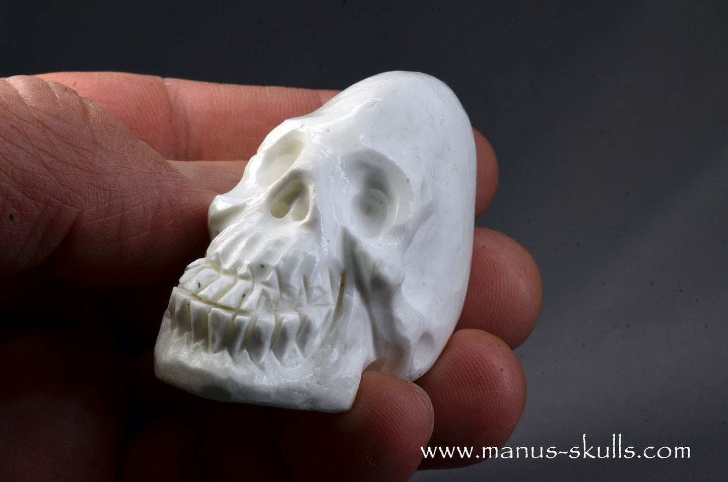 Polish Magnesite Skull