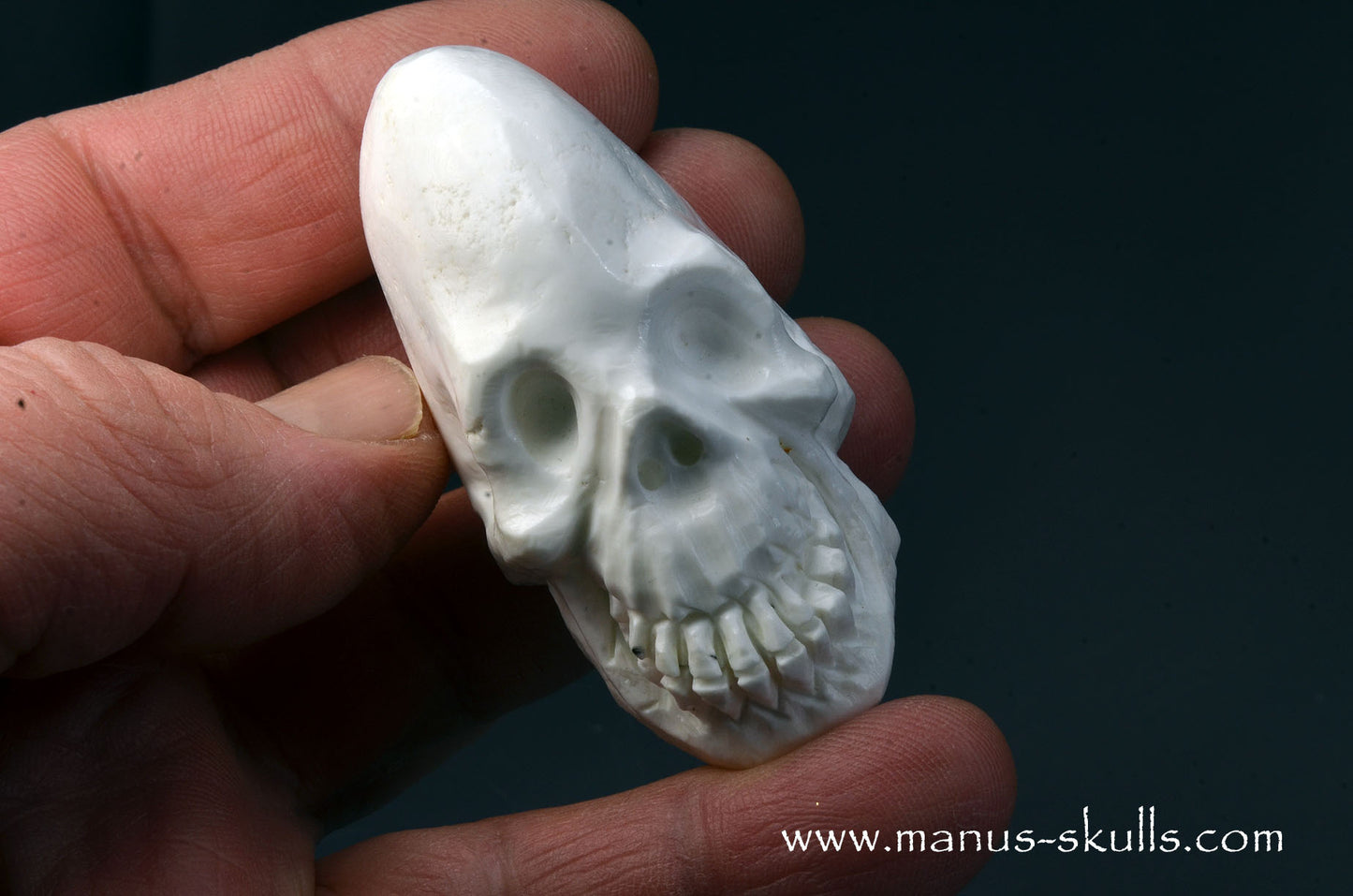 Polish Magnesite Skull