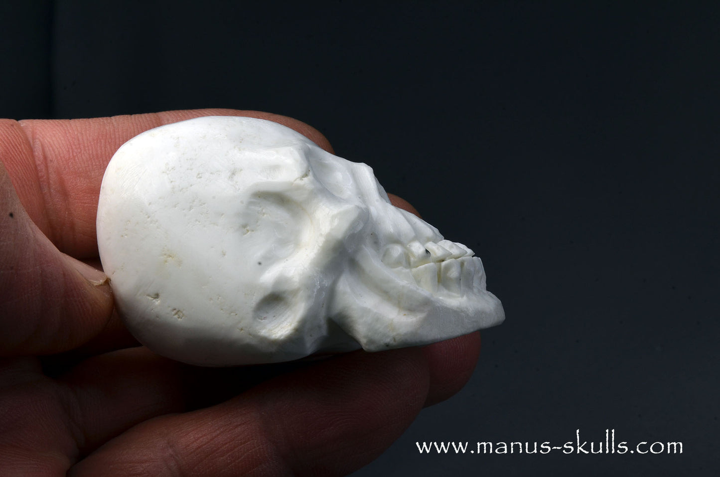 Polish Magnesite Skull