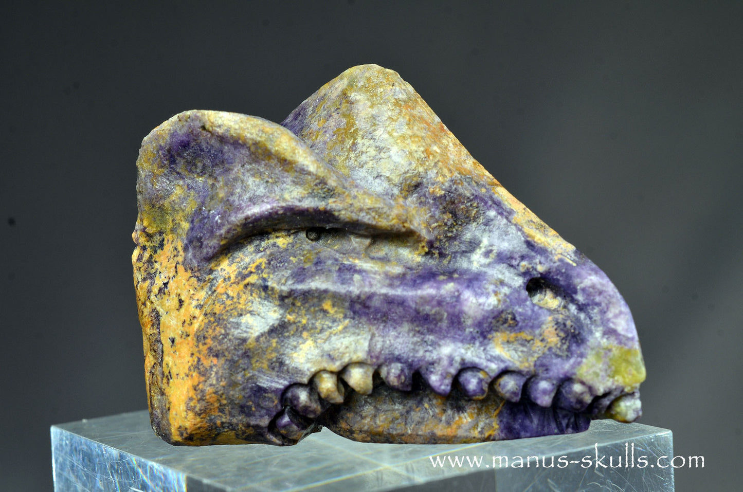 Colombian Tiffany Stone Bird Dragon