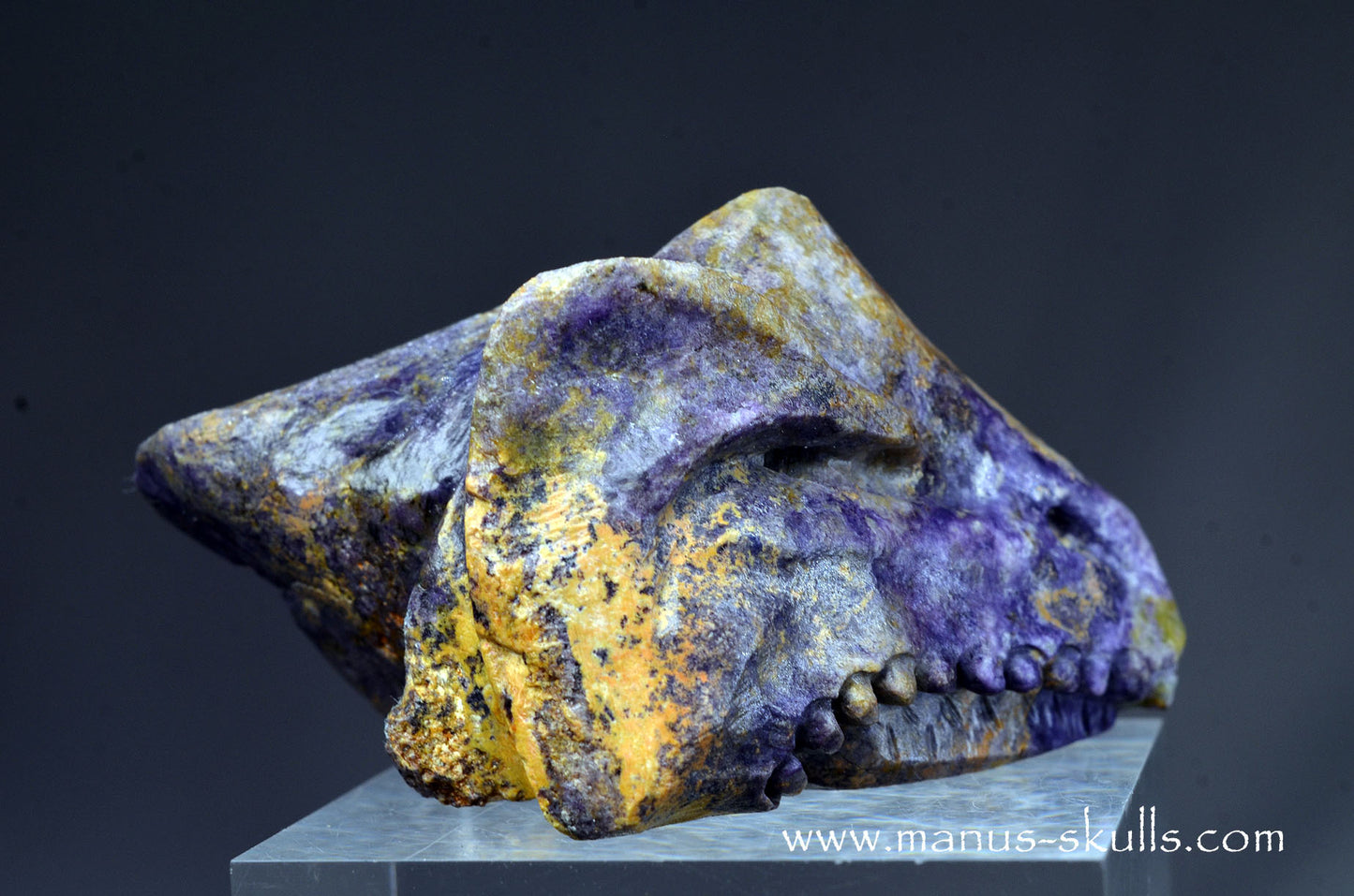 Colombian Tiffany Stone Bird Dragon