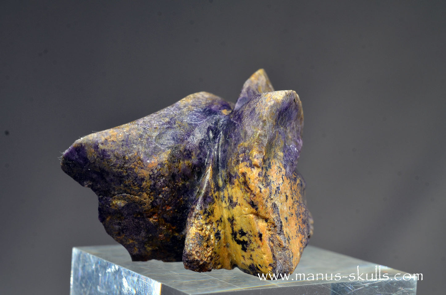 Colombian Tiffany Stone Bird Dragon