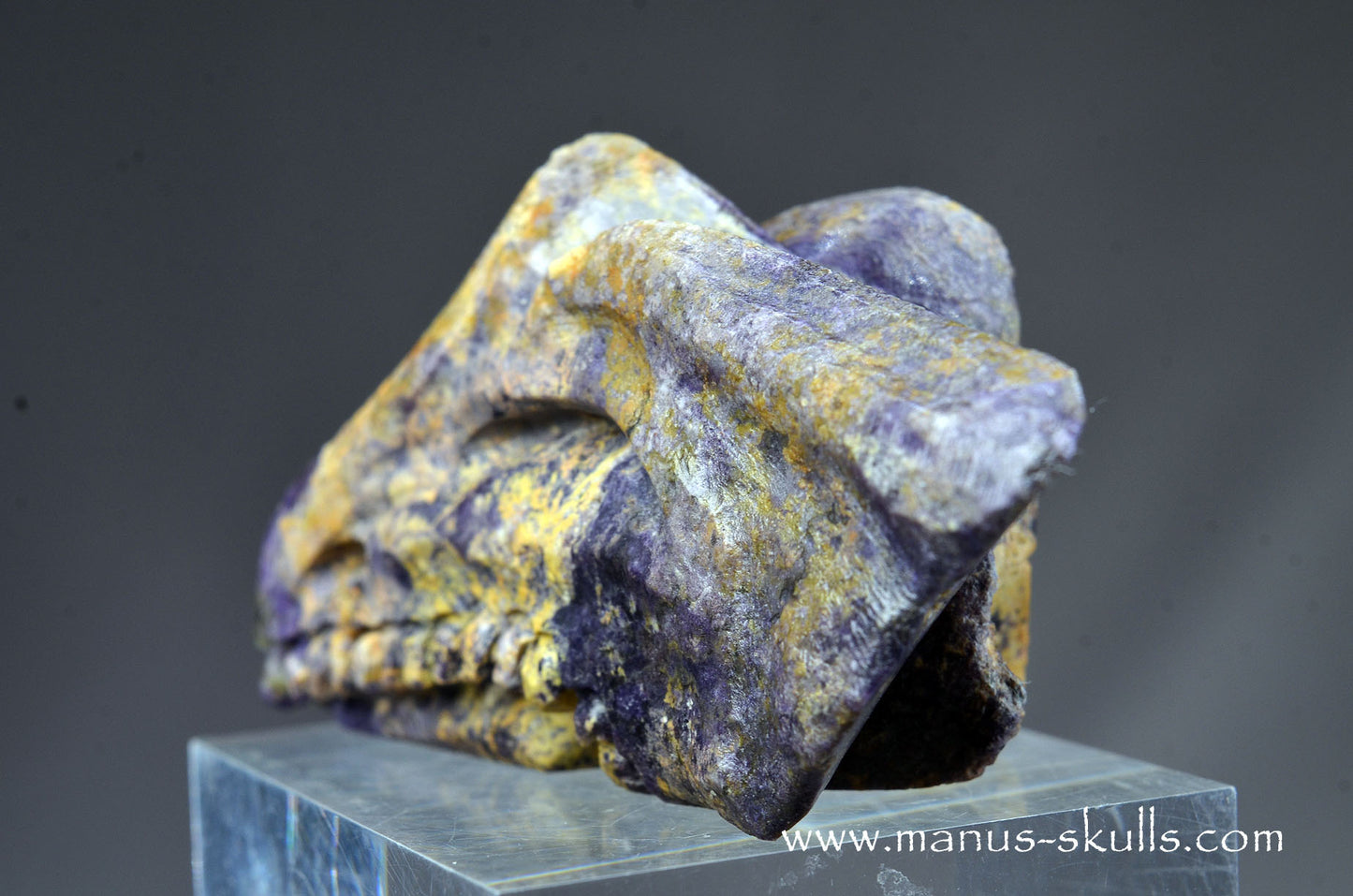 Colombian Tiffany Stone Bird Dragon