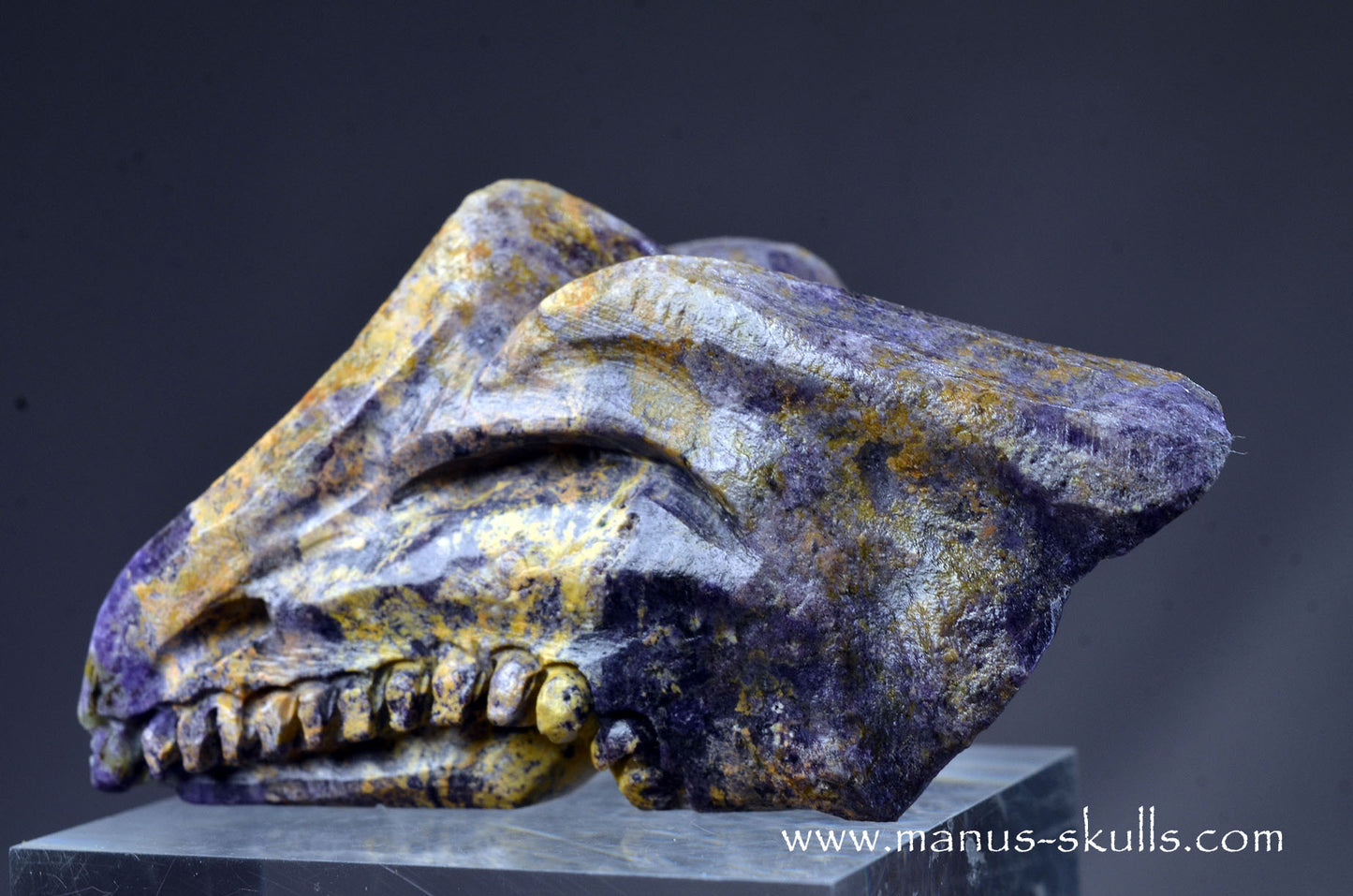 Colombian Tiffany Stone Bird Dragon