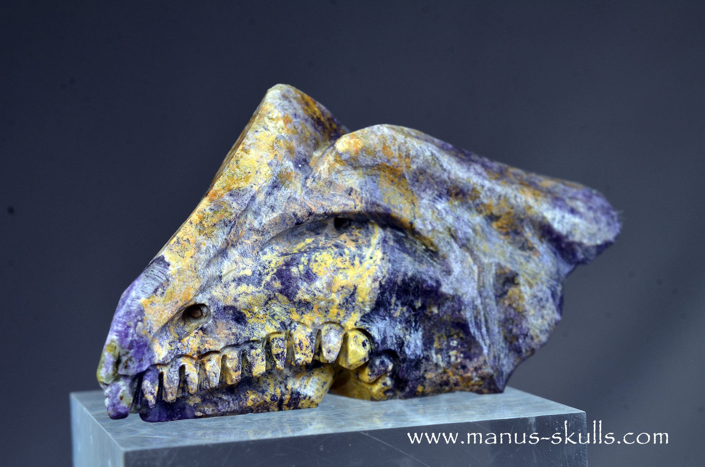 Colombian Tiffany Stone Bird Dragon