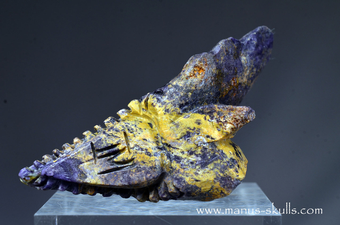 Colombian Tiffany Stone Bird Dragon