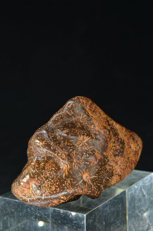 Manus skulls unique Crystal Carvings handmade skulls dragons pendants preseli bluestone tribals spiritual meaning wand Unicorn ..  star bust rhyolite jasper