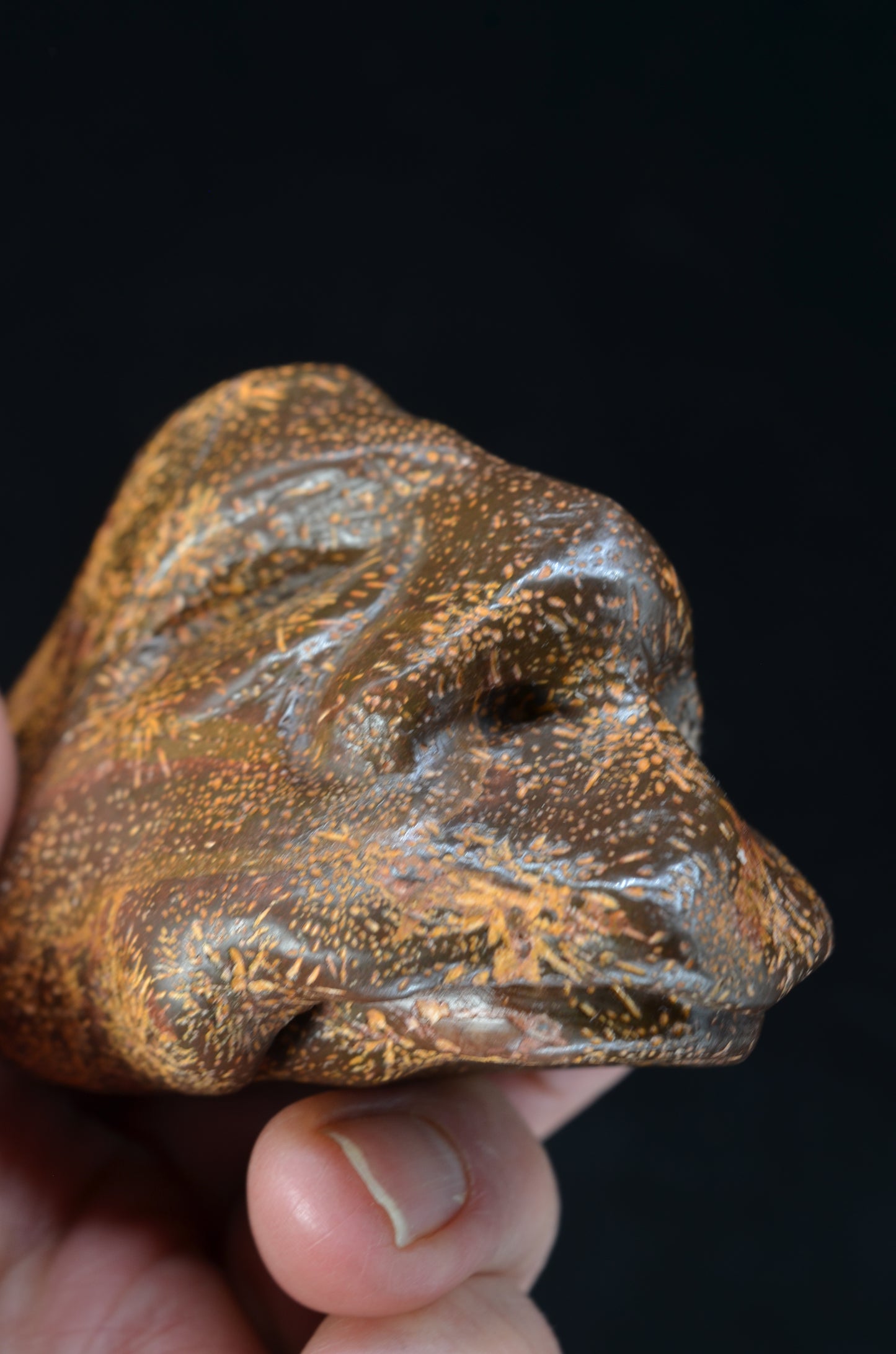 Star Rhyolite Jasper toothless Skull