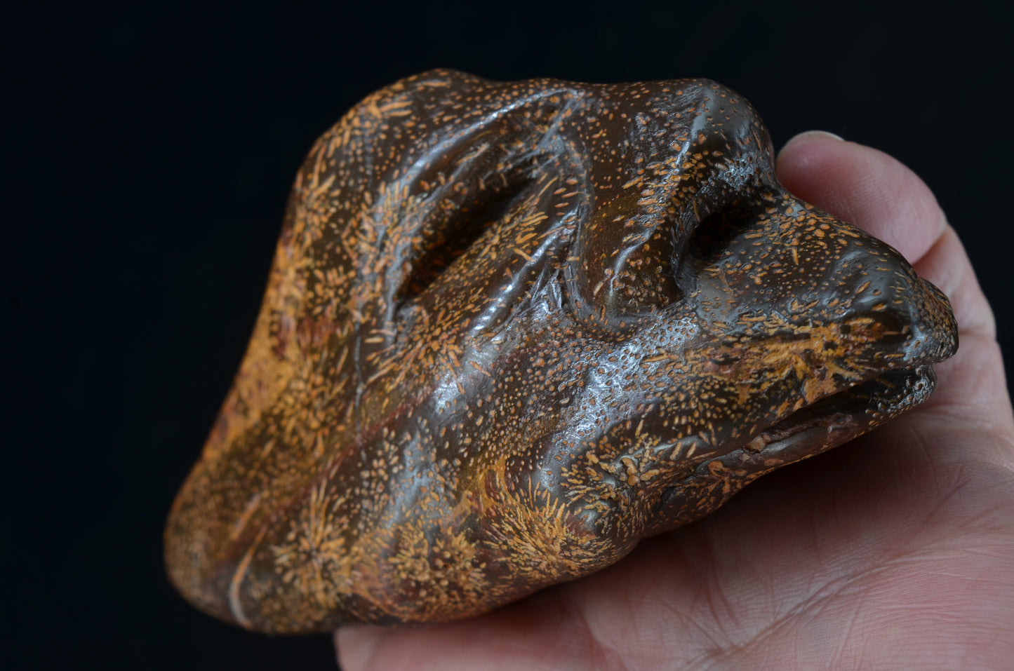 Star Rhyolite Jasper toothless Skull