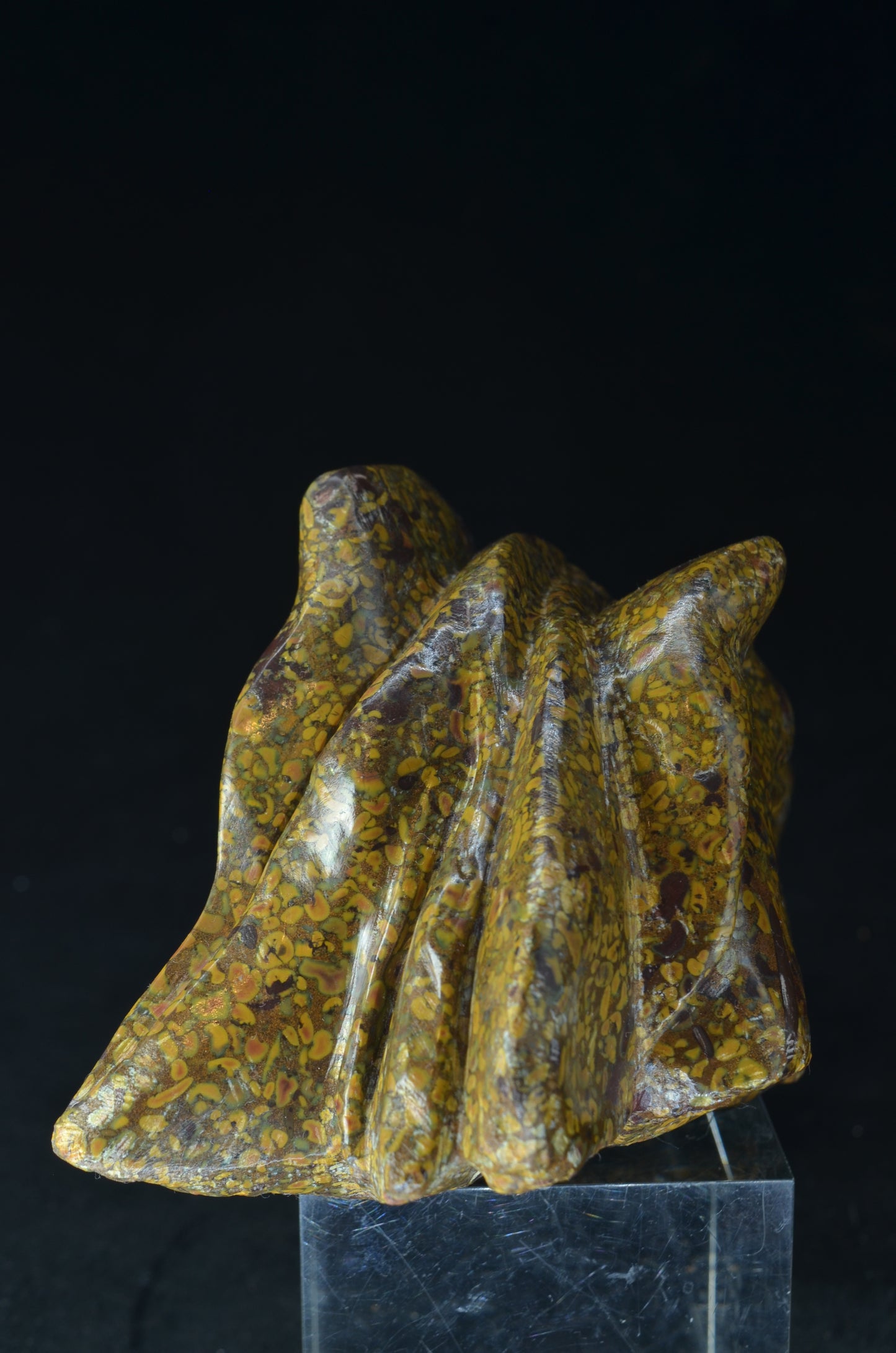 Ajooba Jasper Dragon