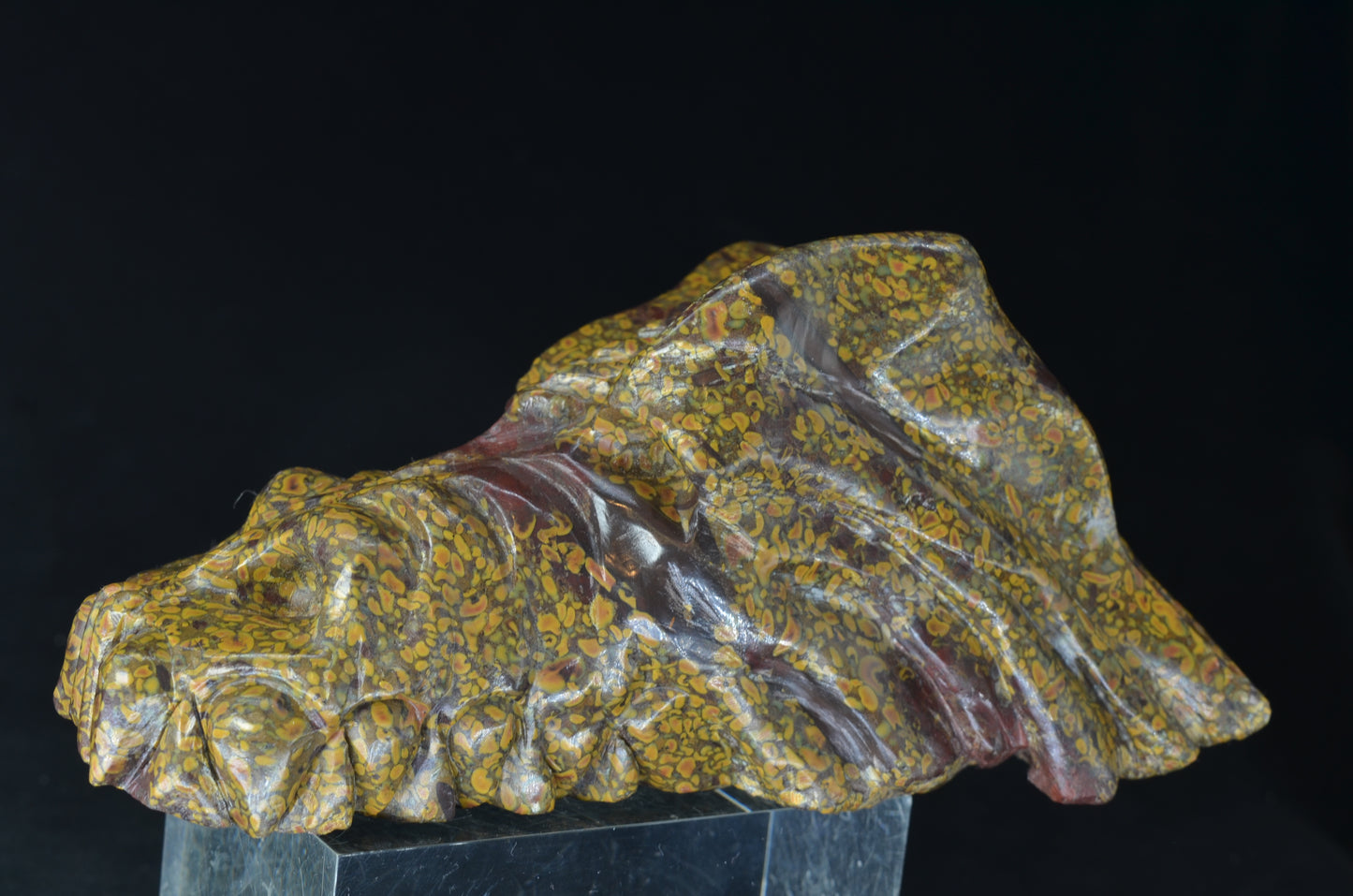 Ajooba Jasper Dragon