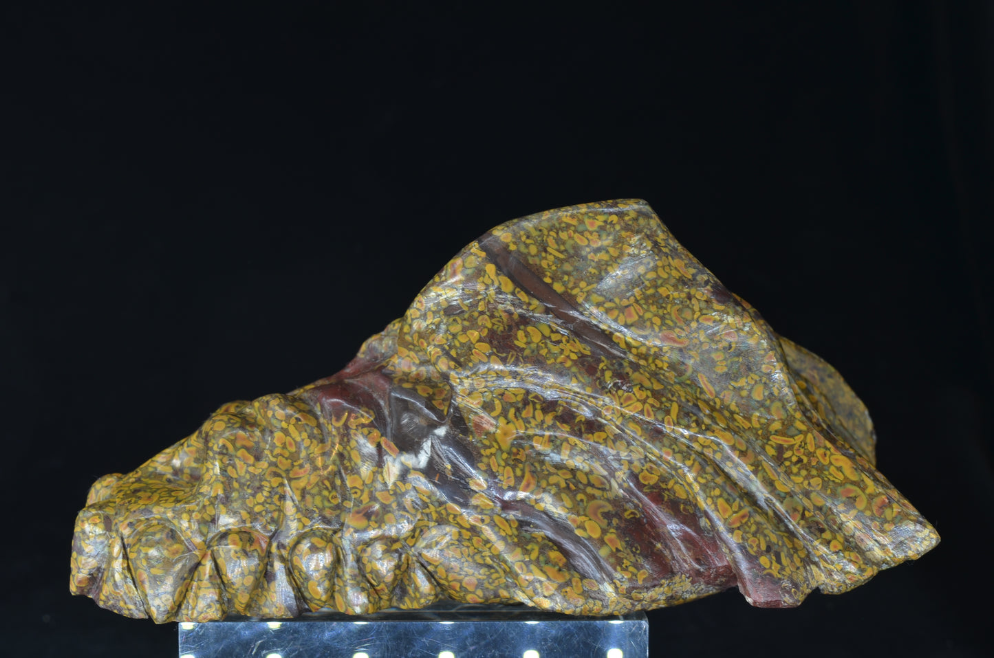 Ajooba Jasper Dragon