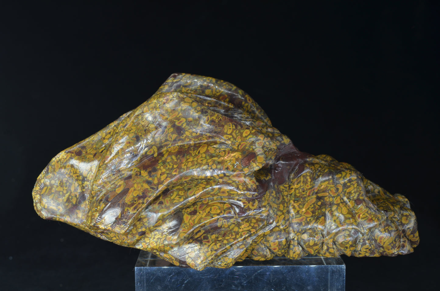 Ajooba Jasper Dragon