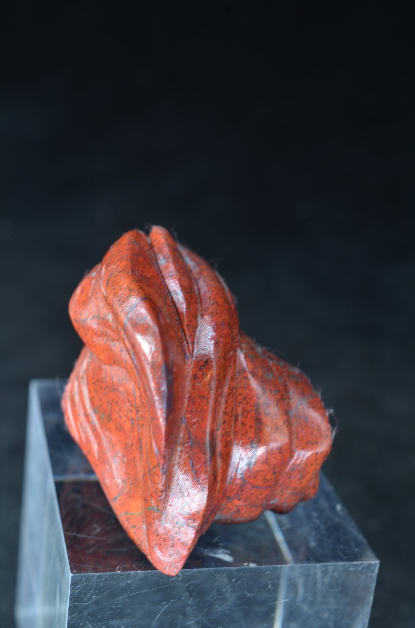 Sonora Sunrise Dragon