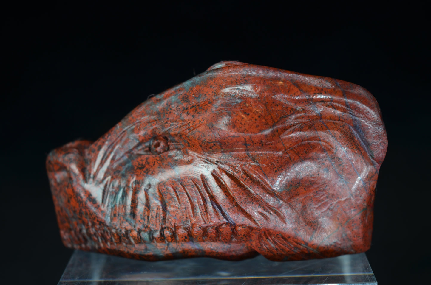 Sonora Sunrise Dragon