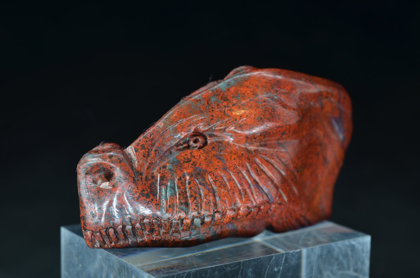 Sonora Sunrise Dragon