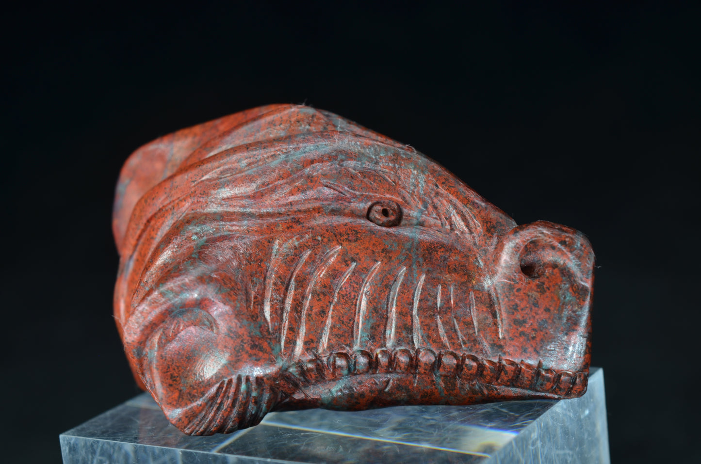 Sonora Sunrise Dragon