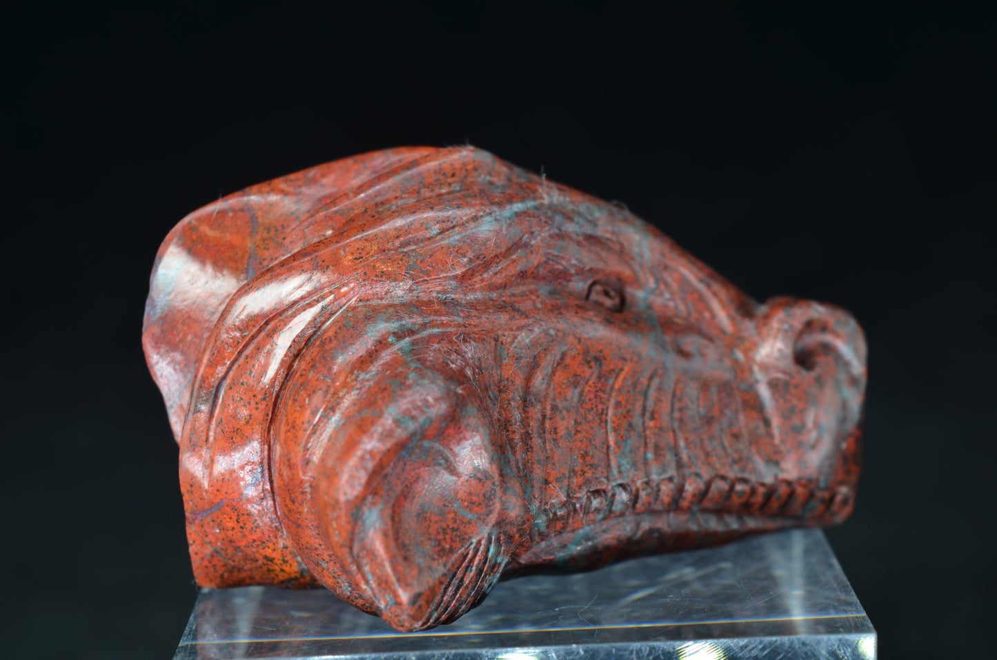 Sonora Sunrise Dragon