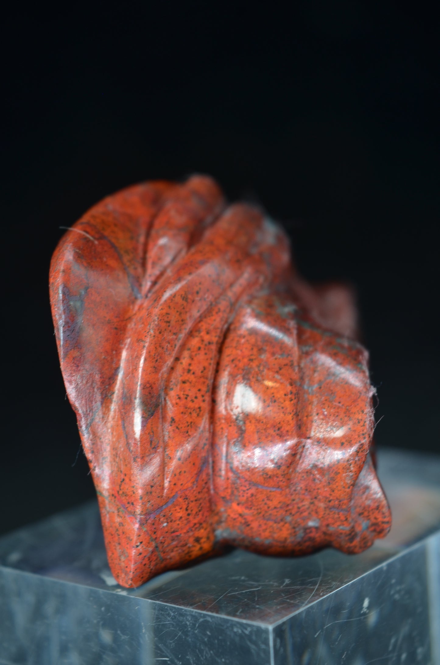 Sonora Sunrise Dragon