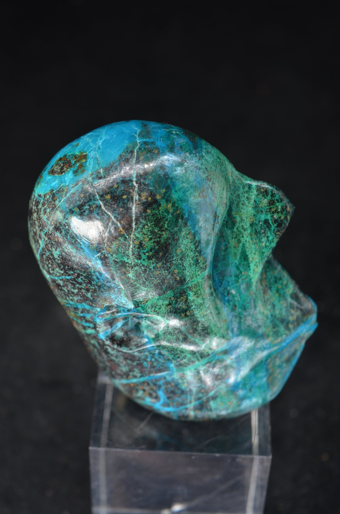 Chrysocolla  "Blow of Life" Skull