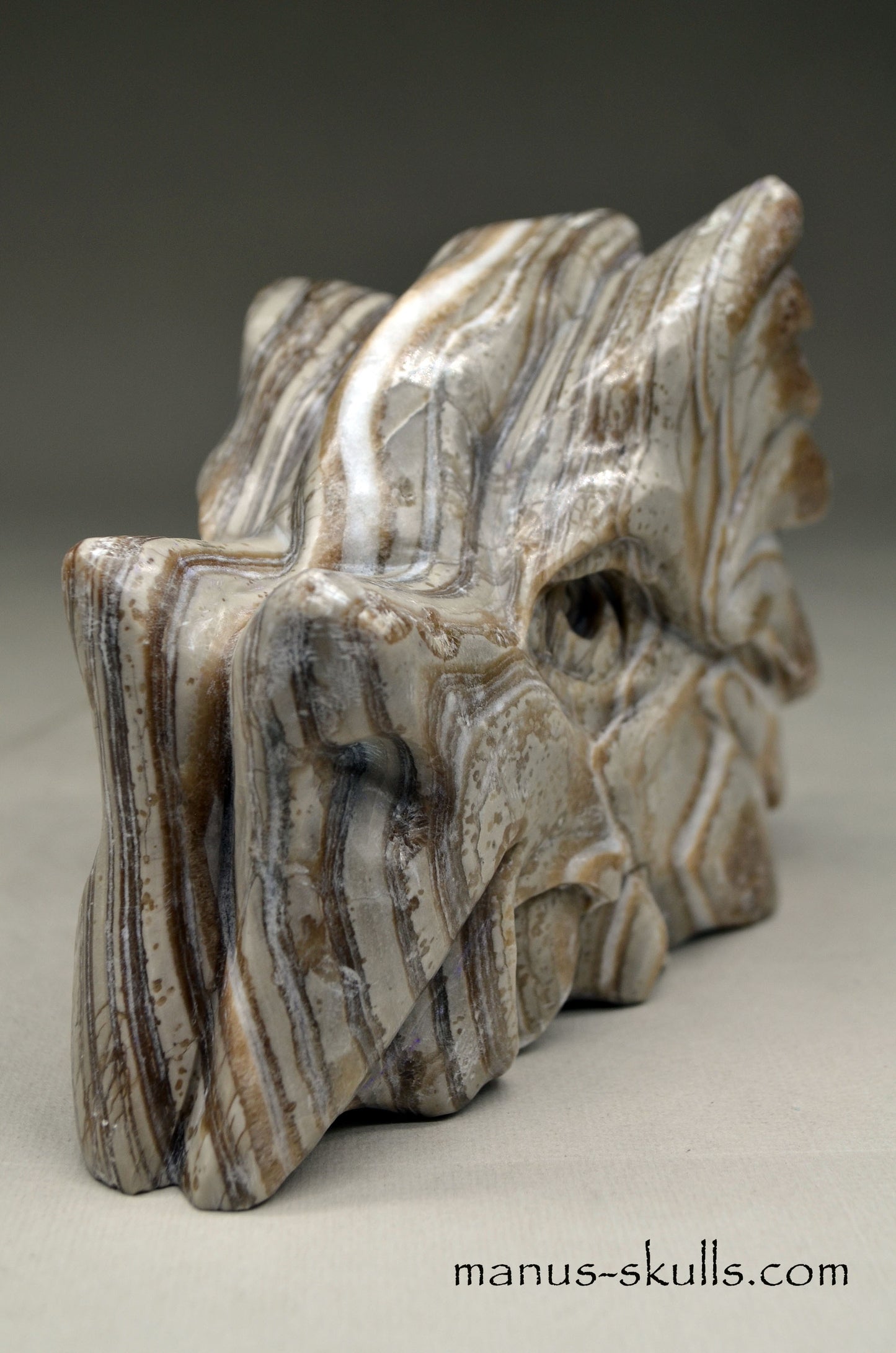  Layered Brazilian ZEBRA CALCITE Manus DRAGON 