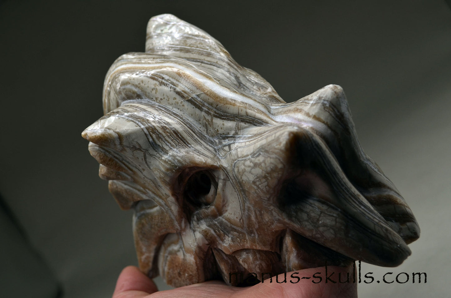 Large Zebra Calcite Dragon