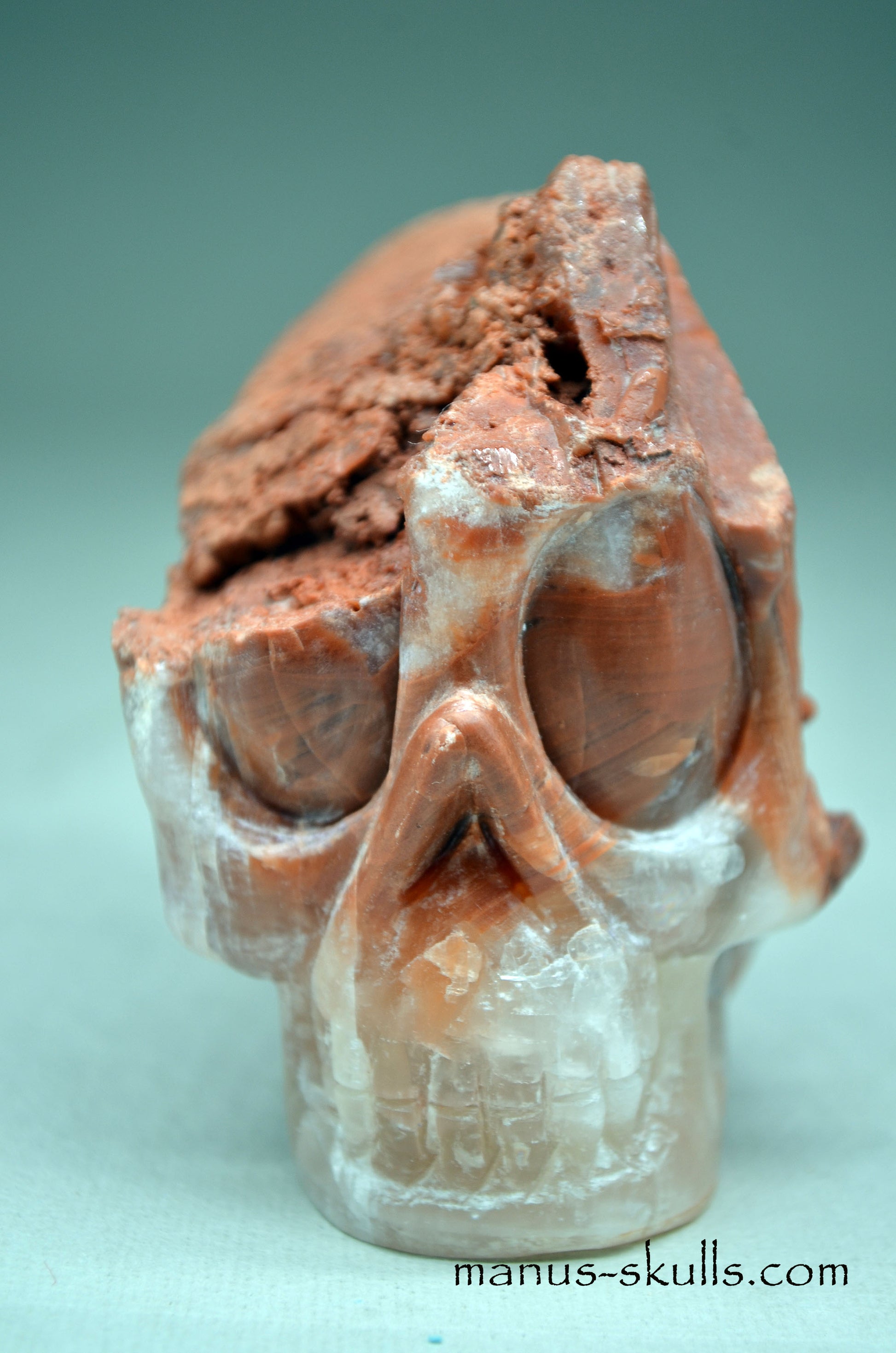 Romanian Calcite Manus Skull