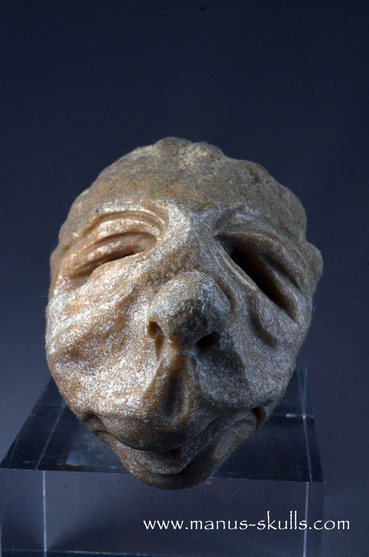 Stromatolite ~ Oncolite Character Skull