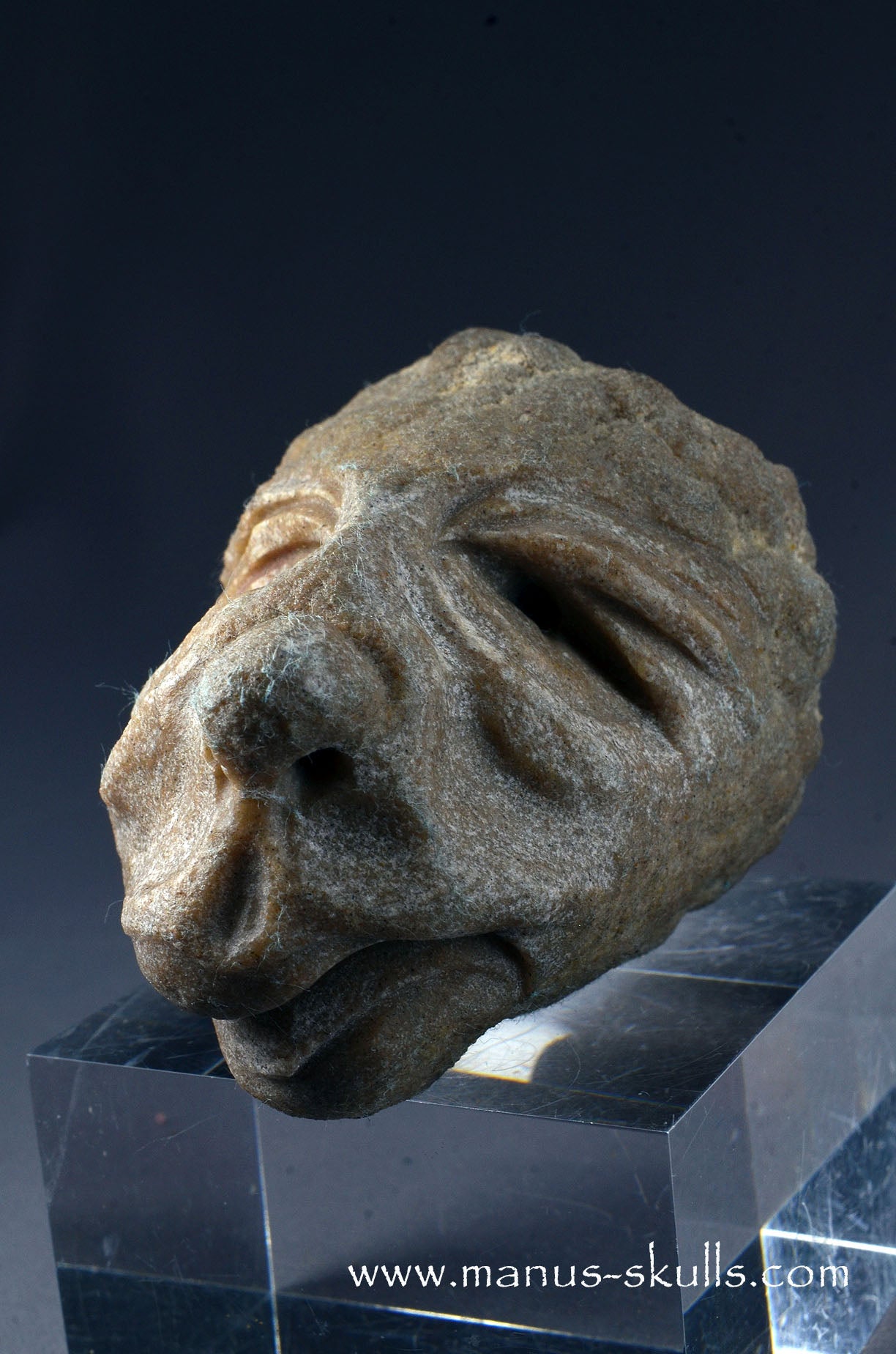 Stromatolite ~ Oncolite Character Skull