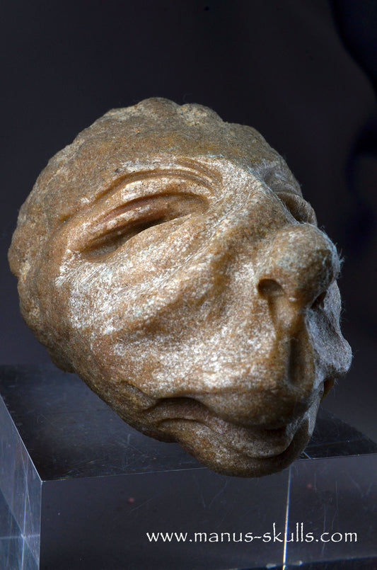 Stromatolite ~ Oncolite Character Skull