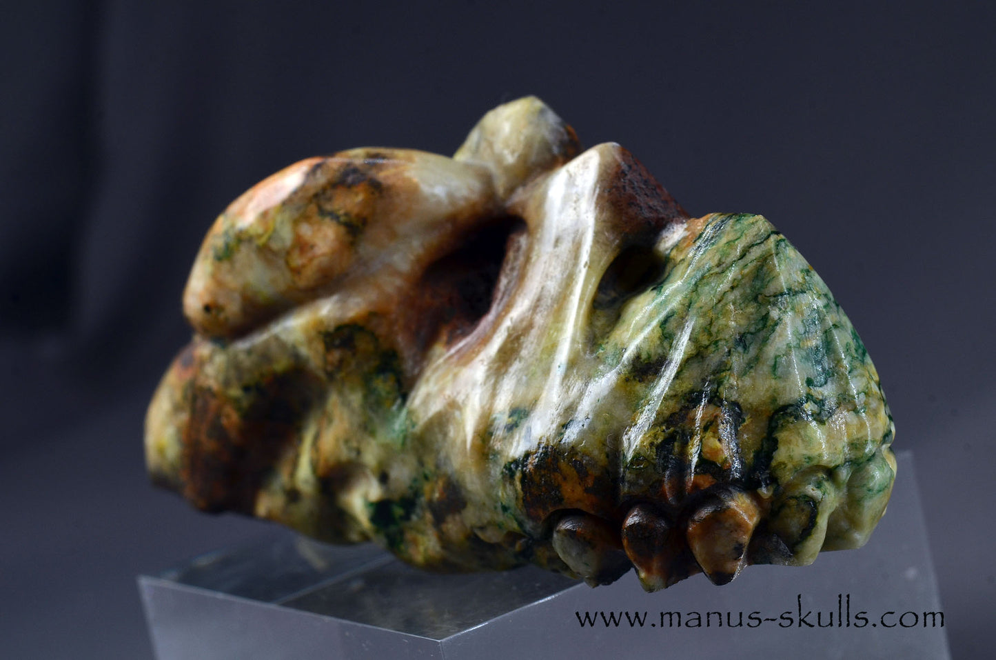 Mariposite Dragon